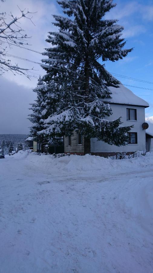 Haus Hasenmüller Daire Schmiedefeld am Rennsteig Dış mekan fotoğraf