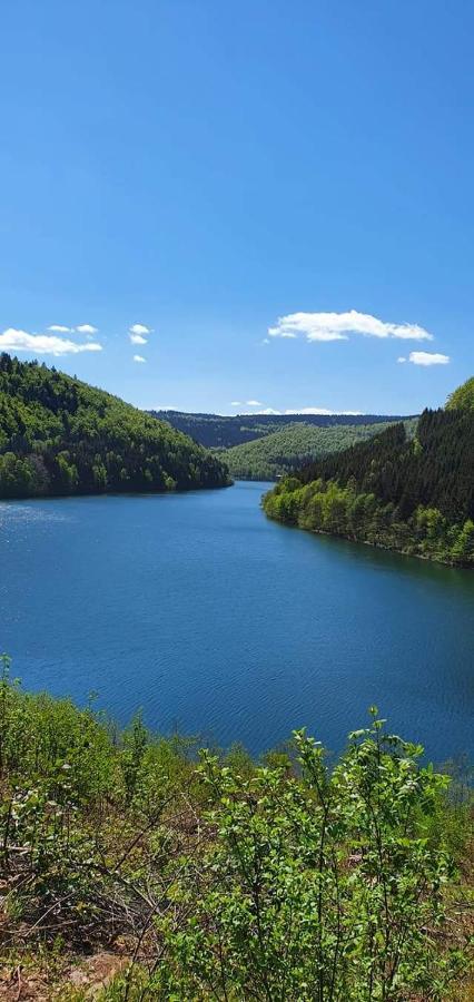 Haus Hasenmüller Daire Schmiedefeld am Rennsteig Dış mekan fotoğraf